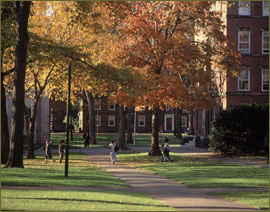 Harvard Yard, Harvard University, Cambridge, Massachusetts. Photo by Index Stock Imagery