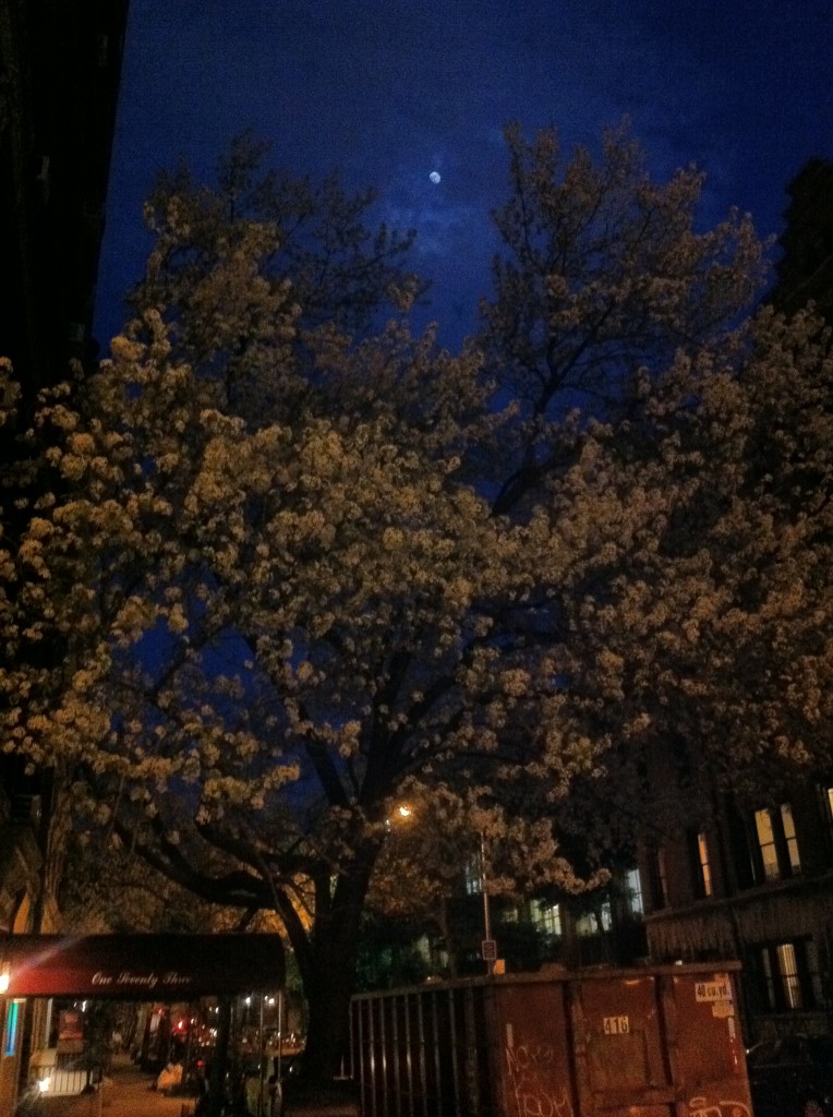 Moon over Manhattan